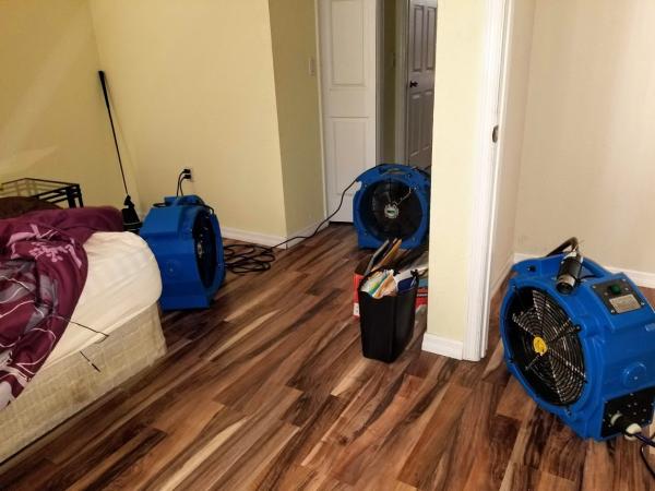 Bed Bugs Florida Heater Rentals