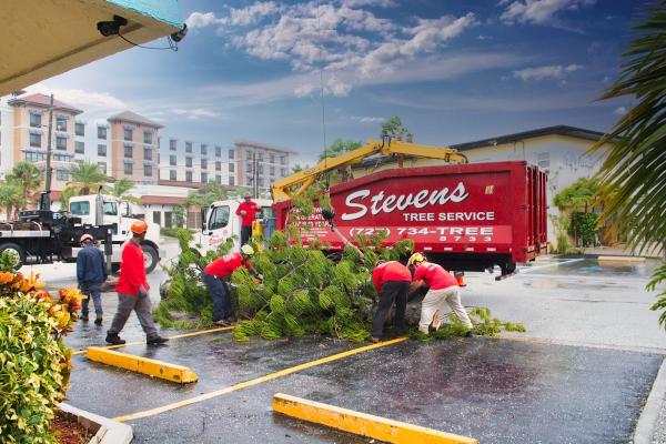 Stevens Tree Service
