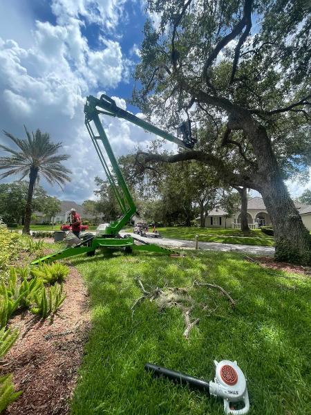 Stevens Tree Service