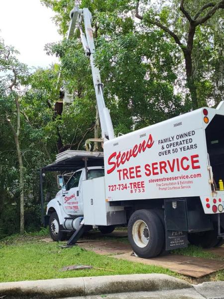 Stevens Tree Service