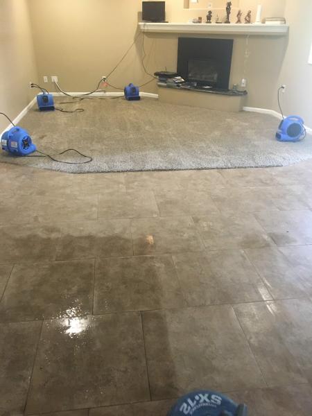 All-American Carpet Care