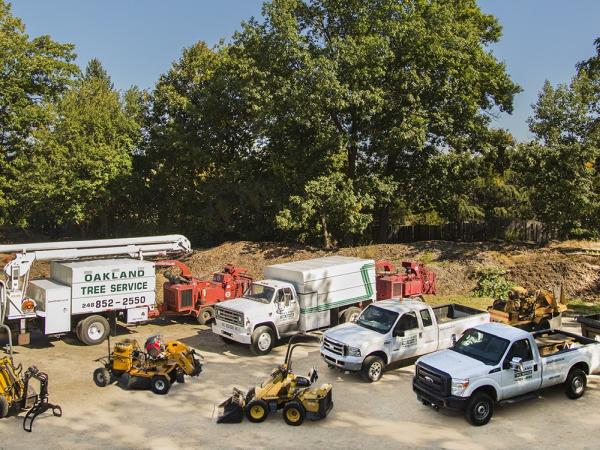 Oakland Tree Service LLC