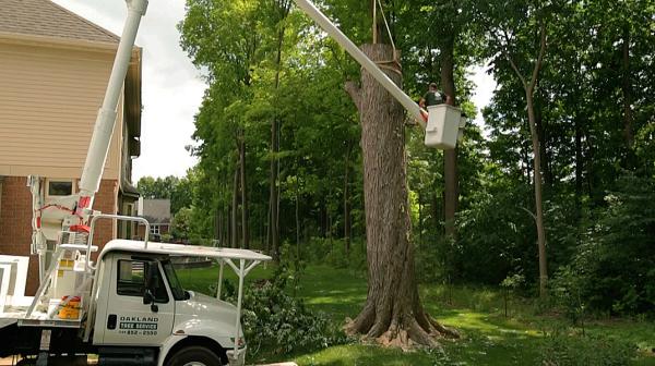 Oakland Tree Service LLC