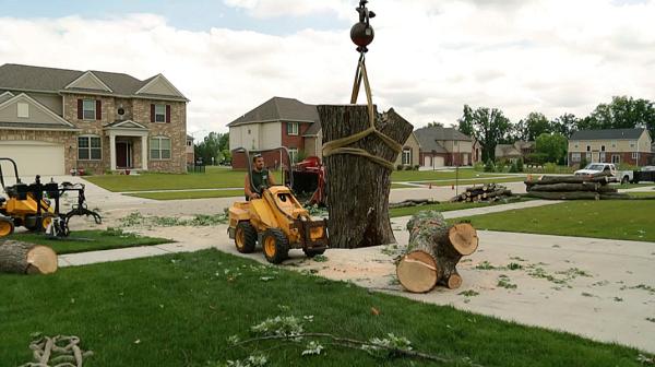 Oakland Tree Service LLC