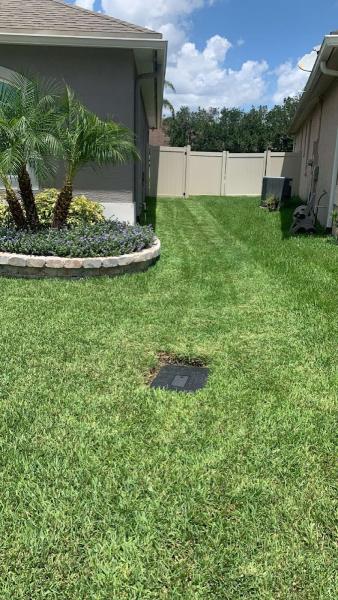 JMS Landscapes & Services
