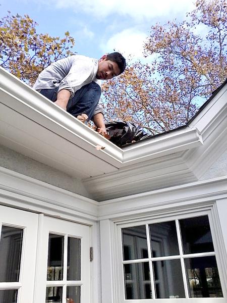 FAA Window Cleaning