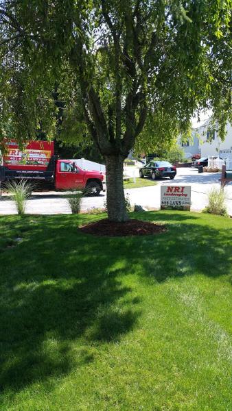 NRI Landscaping Inc