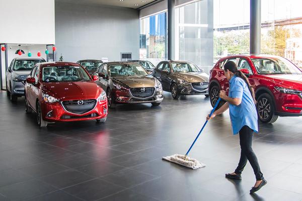 Cleaning Custodian