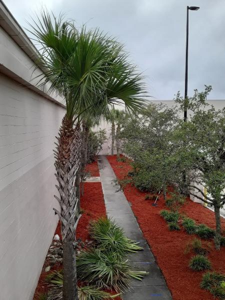 Subtropic Tree Care & Removal Service