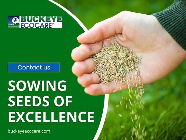 Buckeye Ecocare
