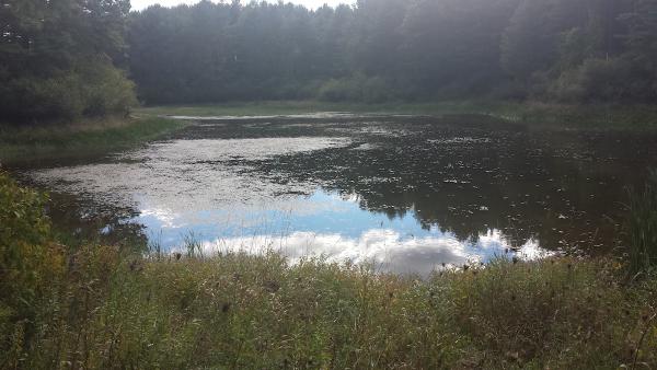 Hamblin Septic Services