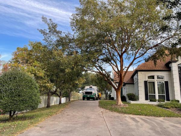 Quality Tree Service DFW