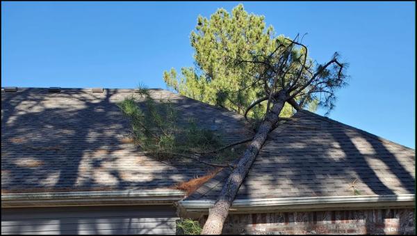 Brown's Tree Care