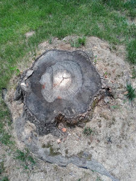 Brown's Tree Care