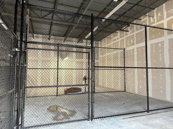 Eagle Fencing