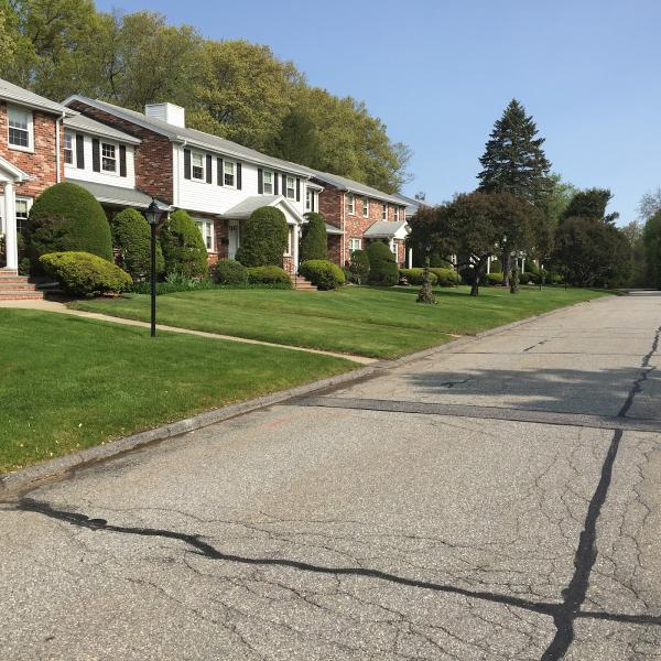 Great Care Lawn Service
