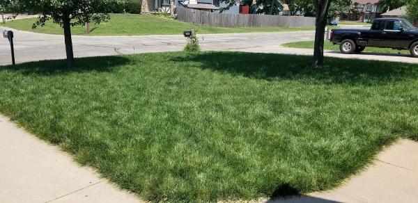 Countryside Lawn & Tree Care