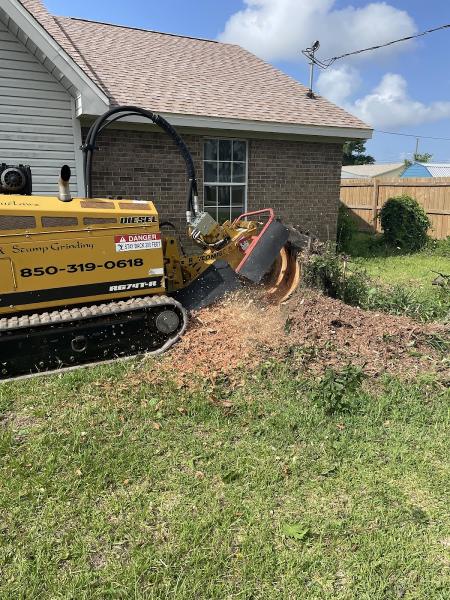 Arbor Outlawz Tree Removal Llc.