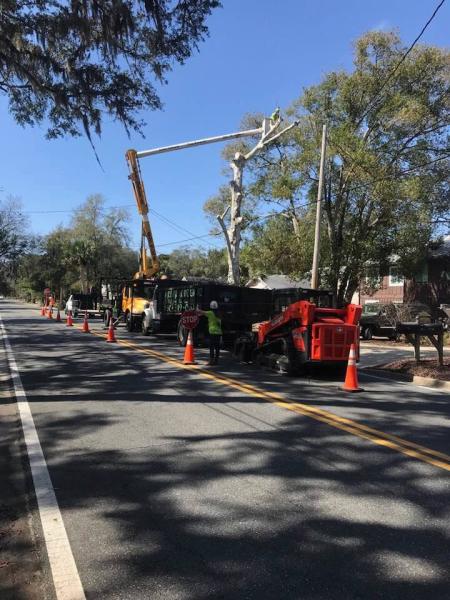 Arbor Outlawz Tree Removal Llc.