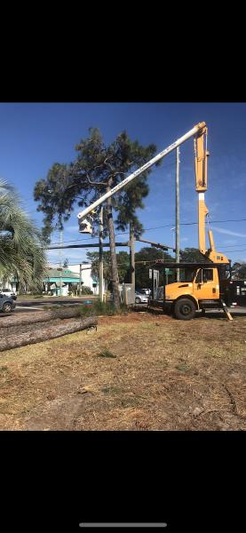 Arbor Outlawz Tree Removal Llc.