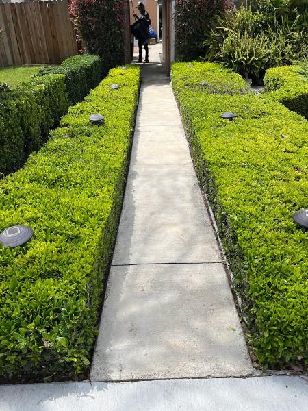 Lira Lawns