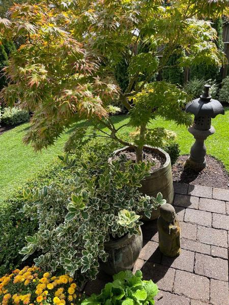 Advanced Landscape Services