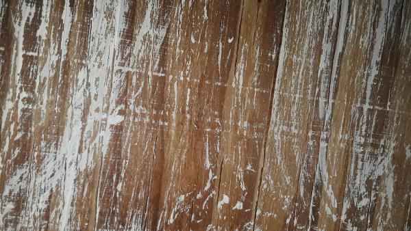 No More Mold Restoration