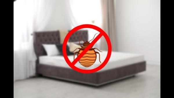 Fort Worth Bed Bug Heat Treatment