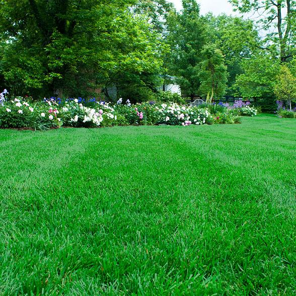 Southern Green Lawn Care