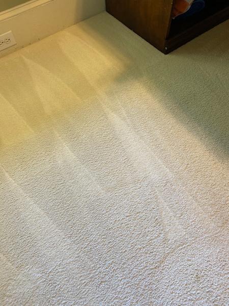 Jansen Carpet Cleaning