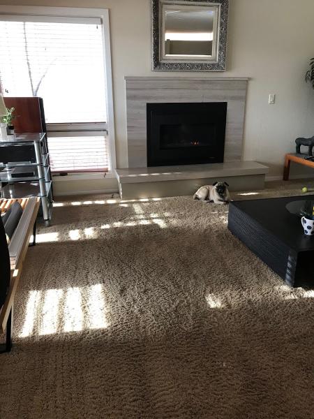 Allied Carpet Care
