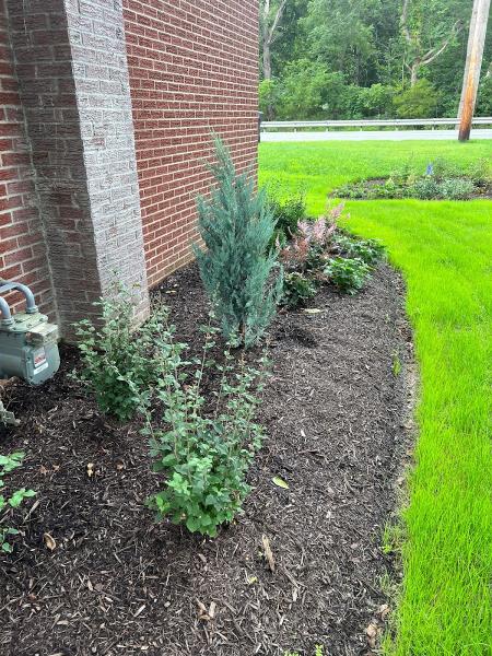 Jared Johnston Landscaping