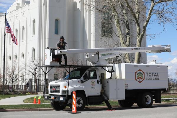 Total Tree Care