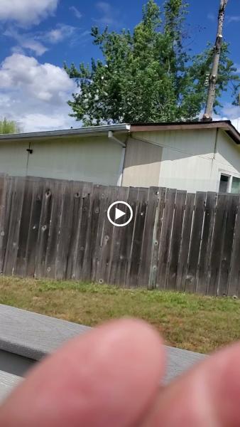 A-1 Ron's Tree & Stump Removal