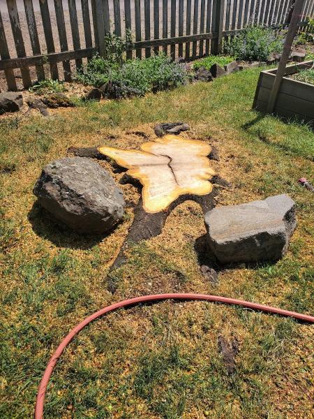 A-1 Ron's Tree & Stump Removal