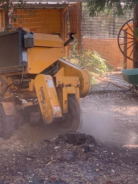 McMillan Tree Services