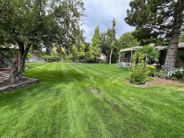 Evergreen Lawn and Tree LLC