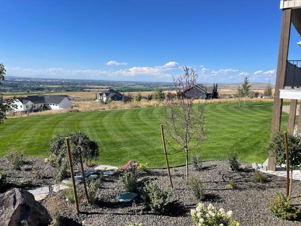 Evergreen Lawn and Tree LLC