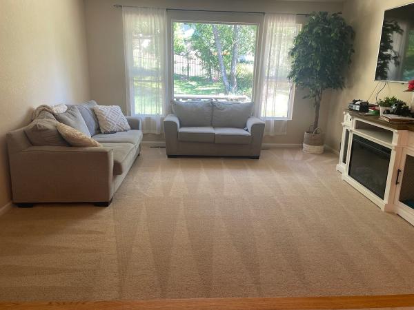 Eco Clean Carpet and Tile Care