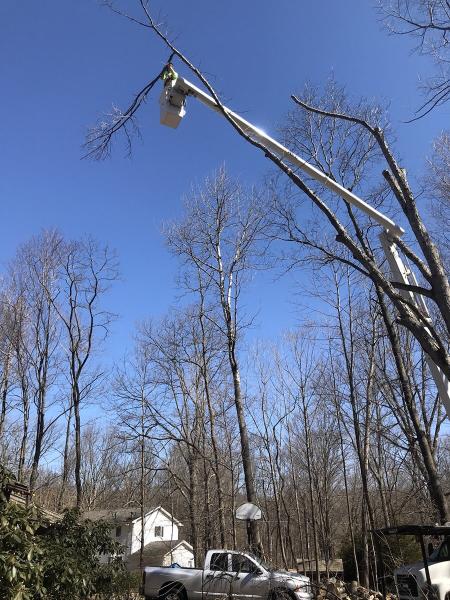 K&S Tree Service