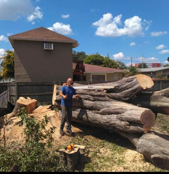 J&E Tree Service