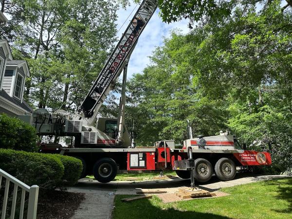 A+ Tree & Crane Services