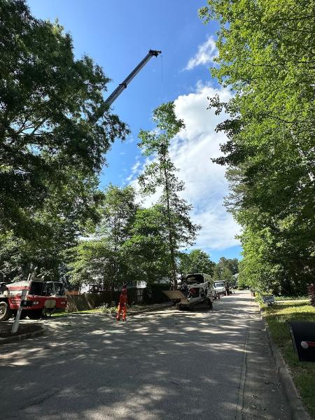 A+ Tree & Crane Services