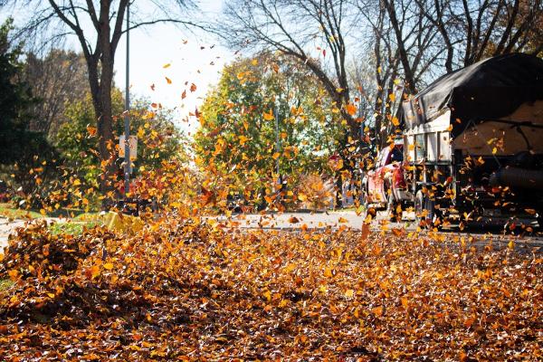 Scenic Lawns & Hardscapes