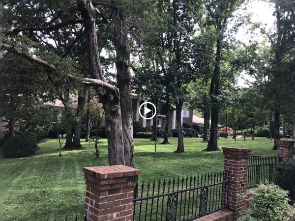 G & G Lawn Care LLC