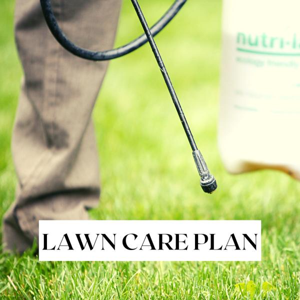 Cowboy Lawn and Sprinkler LLC