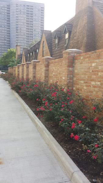J.Q. Brick Repair & Restoration Services LLC