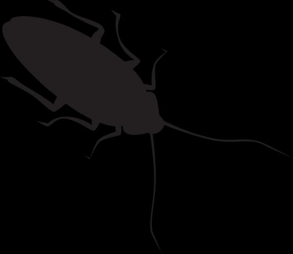 Pest Assassins Exterminating