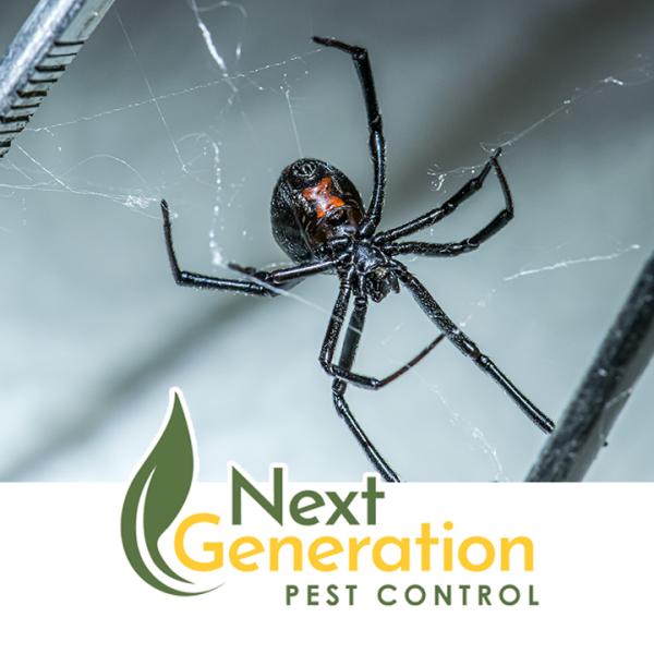 Next Generation Pest Control