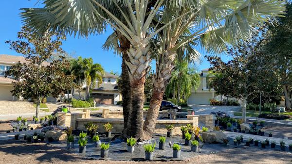 Southern Brothers Landscape Design & Lawn Maintenance